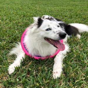 Meet your Posher, Katelynn